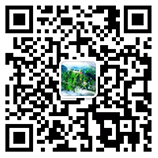 荊門銑刨機租賃